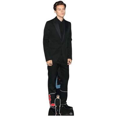 Non communiqué STAR CUTOUTS Figurine en carton Harry Styles costume noir 183 cm Multicolors - Publicité Non communiqué STAR CUTOUTS Figurine en carton Harry Styles costume noir 183 cm Multicolors - Publicité