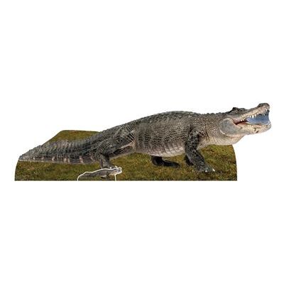 Générique STAR CUTOUTS Figurine en carton Alligator eau douce 58 cm Multicolors - Publicité Générique STAR CUTOUTS Figurine en carton Alligator eau douce 58 cm Multicolors - Publicité