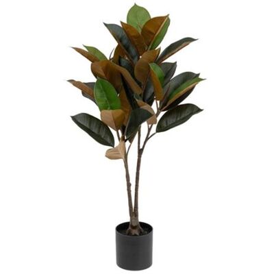 Non communiqué Atmosphera Créateur d'intérieur - Plante Artificielle Magnolia "Be Vintage" 78cm Vert Vert - Publicité Non communiqué Atmosphera Créateur d'intérieur - Plante Artificielle Magnolia "Be Vintage" 78cm Vert Vert - Publicité
