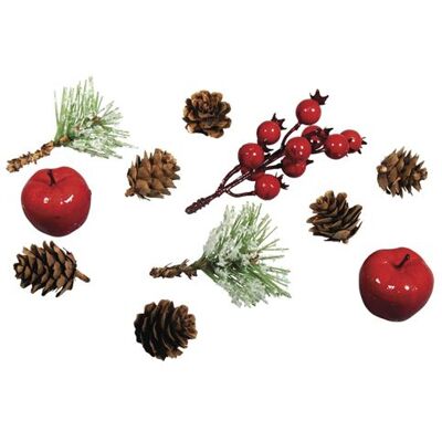Non communiqué Décorations naturelles automne et Noël - 11 Cônes, pommes et baies - Publicité Non communiqué Décorations naturelles automne et Noël - 11 Cônes, pommes et baies - Publicité