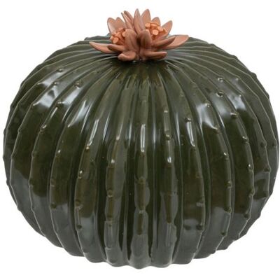 Non communiqué Atmosphera Créateur d'intérieur - Cactus Déco Boule "Exotic Panama" 17cm Vert Vert - Publicité Non communiqué Atmosphera Créateur d'intérieur - Cactus Déco Boule "Exotic Panama" 17cm Vert Vert - Publicité