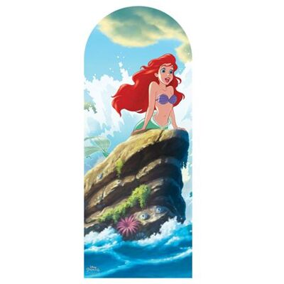 Non communiqué STAR CUTOUTS Figurine en carton Backdrop – Ariel La Petite Sirène - Haut 194 cm Multicolors - Publicité Non communiqué STAR CUTOUTS Figurine en carton Backdrop – Ariel La Petite Sirène - Haut 194 cm Multicolors - Publicité
