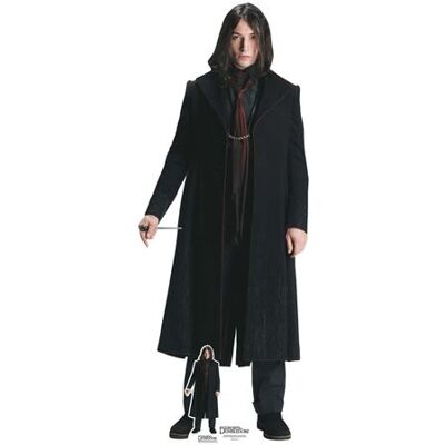 Iconicgreats Credence Barebone Panneau en carton - Secrets Officiels de Dumbledore - Standee - Publicité Iconicgreats Credence Barebone Panneau en carton - Secrets Officiels de Dumbledore - Standee - Publicité