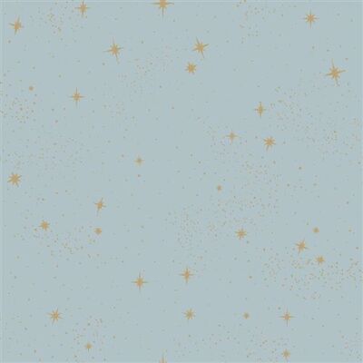 RoomMates papier peint autocollant Upn a Star 52 x 500 cm bleu Bleu - Publicité RoomMates papier peint autocollant Upn a Star 52 x 500 cm bleu Bleu - Publicité
