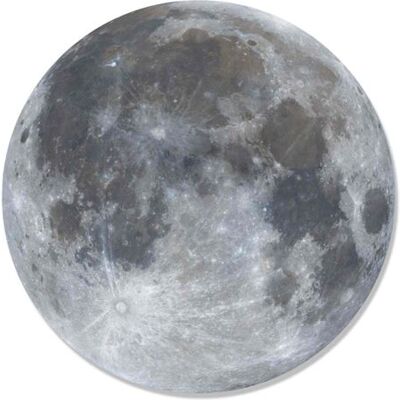 Générique STAR CUTOUTS Blason mural en carton Pleine lune et Espace 66 cm Gris - Publicité Générique STAR CUTOUTS Blason mural en carton Pleine lune et Espace 66 cm Gris - Publicité