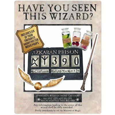 Cadre selfie Harry Potter - Thème Azkaban 87x70cm Décor - Publicité Cadre selfie Harry Potter - Thème Azkaban 87x70cm Décor - Publicité