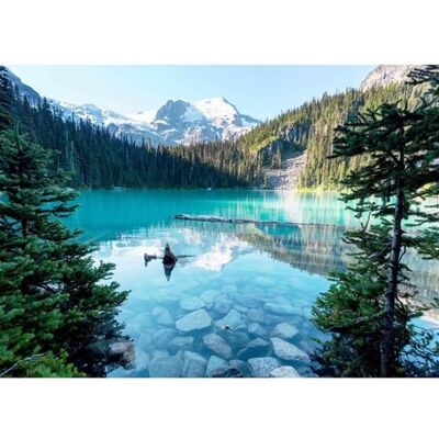 Artis Tableau sur toile Lac Turquoise 45x65 cm CEANOTHE Décoration Murale Art Décoratif Muraux Peinture Imprimée en HD Salon Chambre Bureau Fabriqué en France Bleu - Publicité Artis Tableau sur toile Lac Turquoise 45x65 cm CEANOTHE Décoration Murale Art Décoratif Muraux Peinture Imprimée en HD Salon Chambre Bureau Fabriqué en France Bleu - Publicité