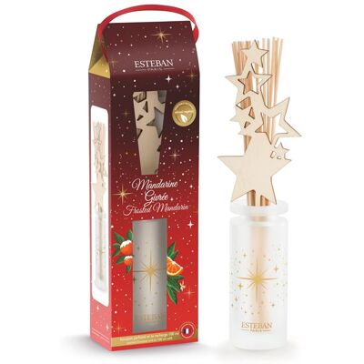 Parfum d'intérieur Esteban Bouquet parfumé Mandarine givrée Multicolore - Publicité Parfum d'intérieur Esteban Bouquet parfumé Mandarine givrée Multicolore - Publicité