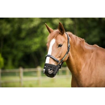 Ekkia Panier Muselière Cheval - Publicité Ekkia Panier Muselière Cheval - Publicité