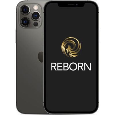 Apple iPhone 12 Pro 6,1" 5G 128 Go Double SIM Graphite Reconditionné Grade A Reborn Graphite - Publicité Apple iPhone 12 Pro 6,1" 5G 128 Go Double SIM Graphite Reconditionné Grade A Reborn Graphite - Publicité