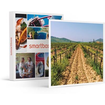 SMARTBOX - Coffret Cadeau Visite du vignoble de la Bastide des oliviers et de sa cave avec dégustation pour 2-Gastronomie - Publicité SMARTBOX - Coffret Cadeau Visite du vignoble de la Bastide des oliviers et de sa cave avec dégustation pour 2-Gastronomie - Publicité