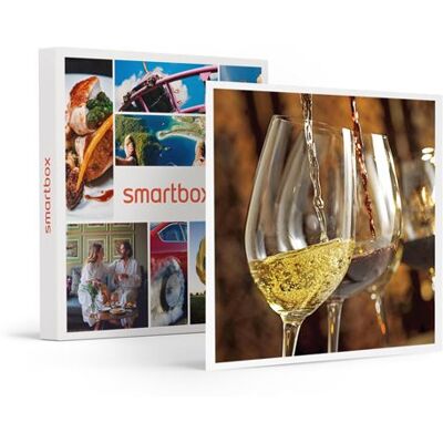 SMARTBOX - Coffret Cadeau Visite œnologique avec cours, dégustation de vins et 3 bouteilles à emporter près de Nantes-Gastronomie - Publicité SMARTBOX - Coffret Cadeau Visite œnologique avec cours, dégustation de vins et 3 bouteilles à emporter près de Nantes-Gastronomie - Publicité