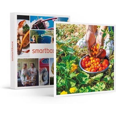 SMARTBOX - Coffret Cadeau Atelier écologique de permaculture et visite guidée d'une ferme à Montpellier-Sport & Aventure - Publicité SMARTBOX - Coffret Cadeau Atelier écologique de permaculture et visite guidée d'une ferme à Montpellier-Sport & Aventure - Publicité