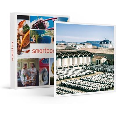 SMARTBOX - Coffret Cadeau Visite et dégustation autour du vermouth français avec la maison Bacardi-Gastronomie - Publicité SMARTBOX - Coffret Cadeau Visite et dégustation autour du vermouth français avec la maison Bacardi-Gastronomie - Publicité