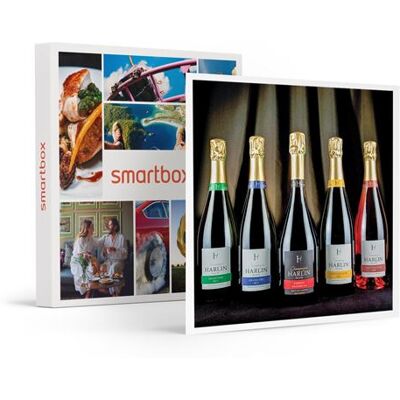 SMARTBOX - Coffret Cadeau Dégustation de champagne et visite de domaine dans la Marne-Gastronomie - Publicité SMARTBOX - Coffret Cadeau Dégustation de champagne et visite de domaine dans la Marne-Gastronomie - Publicité