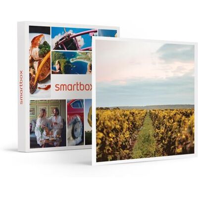 SMARTBOX - Coffret Cadeau Visite et dégustation de vins en duo près de Versailles-Gastronomie - Publicité SMARTBOX - Coffret Cadeau Visite et dégustation de vins en duo près de Versailles-Gastronomie - Publicité