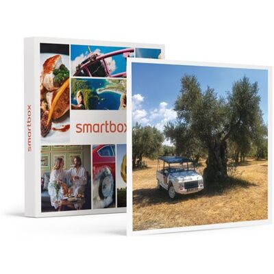 SMARTBOX - Journée œnologie en duo : visite de 4 domaines, dégustation et déjeuner à Bandol - Coffret Cadeau Sport & Aventure - Publicité SMARTBOX - Journée œnologie en duo : visite de 4 domaines, dégustation et déjeuner à Bandol - Coffret Cadeau Sport & Aventure - Publicité