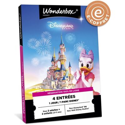 Non communiqué E-coffret Wonderbox Connect Disneyland Paris Journée en Famille - Publicité Non communiqué E-coffret Wonderbox Connect Disneyland Paris Journée en Famille - Publicité