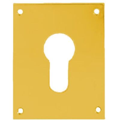 HERACLES - Plaque de propreté laiton poli - Key I or L - 4x3mm holes - brass plate - Publicité HERACLES - Plaque de propreté laiton poli - Key I or L - 4x3mm holes - brass plate - Publicité