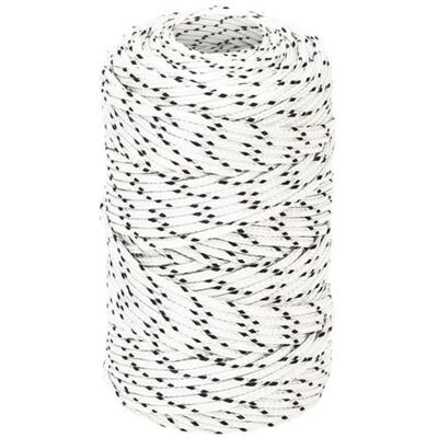 vidaXL Corde de bateau tressée blanche 2 mm x 500 m - Corde de bateau - Publicité vidaXL Corde de bateau tressée blanche 2 mm x 500 m - Corde de bateau - Publicité