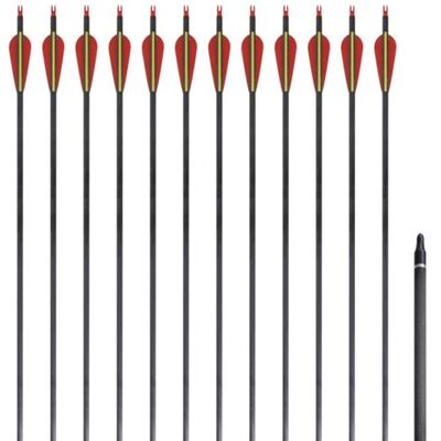 VIDAXL Flèche d arc recourbé standard 12 pcs 30 0,76 cm carbone - Publicité VIDAXL Flèche d arc recourbé standard 12 pcs 30 0,76 cm carbone - Publicité