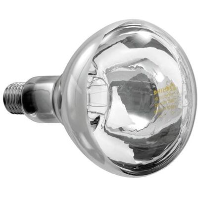 Ampoule Infrarouge IWL250D-W - Bartscher - - Verre 125x125x173mm NC - Publicité Ampoule Infrarouge IWL250D-W - Bartscher - - Verre 125x125x173mm NC - Publicité