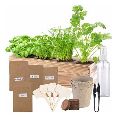 Set de jardin d'herbes - Inclut 4 aromates et accessoires - Publicité Set de jardin d'herbes - Inclut 4 aromates et accessoires - Publicité