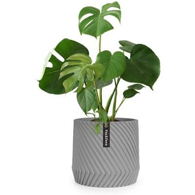 Fox & Fern - Heusden - polystone - handmade - Jardinière - Publicité Fox & Fern - Heusden - polystone - handmade - Jardinière - Publicité