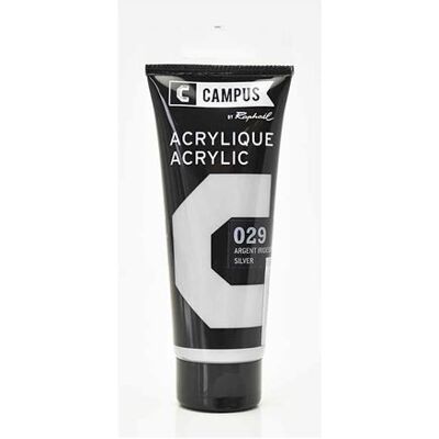 CAMPUS Argent Iridescent N°029 - Peinture Acrylique - Publicité CAMPUS Argent Iridescent N°029 - Peinture Acrylique - Publicité