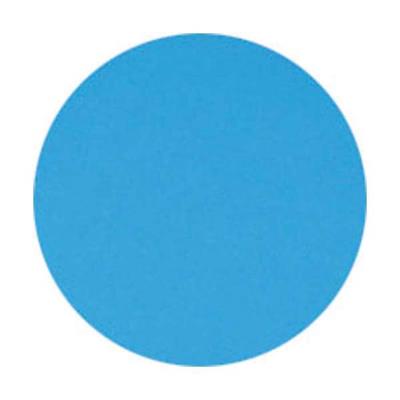 VISIODIRECT Ramette de 500 feuilles papier couleur TROPHEE 80 grammes format A3 bleu vif - Publicité VISIODIRECT Ramette de 500 feuilles papier couleur TROPHEE 80 grammes format A3 bleu vif - Publicité