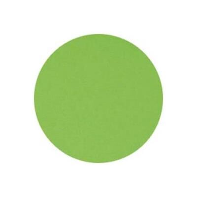 VISIODIRECT Ramette de 250 feuilles papier couleur TROPHEE 160 grammes format A4 vert menthe - Publicité VISIODIRECT Ramette de 250 feuilles papier couleur TROPHEE 160 grammes format A4 vert menthe - Publicité