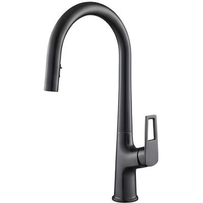 Non communiqué Robinet de Cuisine Extensible Double Fonction Bec Haut Douchette Extractible Noir Noir - Publicité Non communiqué Robinet de Cuisine Extensible Double Fonction Bec Haut Douchette Extractible Noir Noir - Publicité