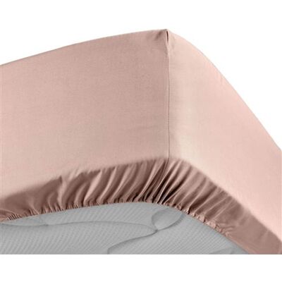 Non communiqué Drap housse beige 180x200 cm percale - douceur dinterieur Beige - Publicité Non communiqué Drap housse beige 180x200 cm percale - douceur dinterieur Beige - Publicité