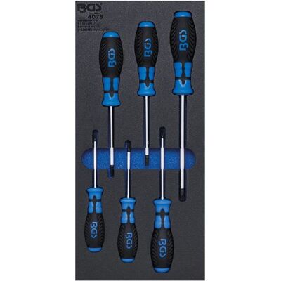 Non communiqué insert de servante 1/3 jeu 6 tournevis torx bgs technic complet - Bgs Technic - Publicité Non communiqué insert de servante 1/3 jeu 6 tournevis torx bgs technic complet - Bgs Technic - Publicité
