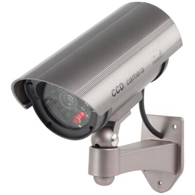 Nedis Caméra Factice Pro 30 - Publicité Nedis Caméra Factice Pro 30 - Publicité