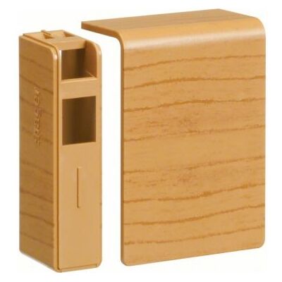 Hager Embout pour plinthe SL20055 hêtre (SL200556D2) - Publicité Hager Embout pour plinthe SL20055 hêtre (SL200556D2) - Publicité