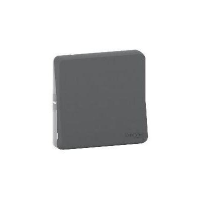 Schneider MUR35027 Interrupteur poussoir gris - Interrupteur poussoir - Publicité Schneider MUR35027 Interrupteur poussoir gris - Interrupteur poussoir - Publicité