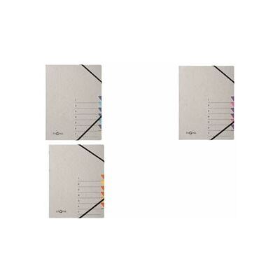 Non communiqué PAGNA Trieur 'Easy Grey', A4, 7 compartiments, gris / orange - Publicité Non communiqué PAGNA Trieur 'Easy Grey', A4, 7 compartiments, gris / orange - Publicité