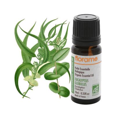 Florame Huile Essentielle Eucalyptus Globulus - Respiratoire - Publicité Florame Huile Essentielle Eucalyptus Globulus - Respiratoire - Publicité