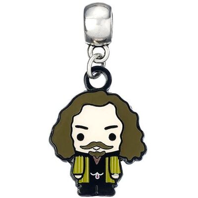 Harry Potter Sirius Black Slider Charm - Publicité Harry Potter Sirius Black Slider Charm - Publicité