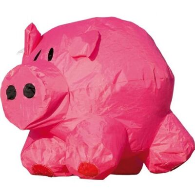 Non communiqué HQ Kites compagnon Porky de rebondissement 50 cm rose - Publicité Non communiqué HQ Kites compagnon Porky de rebondissement 50 cm rose - Publicité