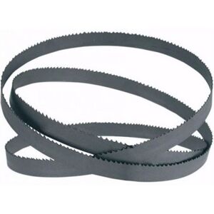 5 pièces de Lame de scie à ruban 2750x27x0,9mm 10/14Z /1 N310 DA DG Femi - Publicité 5 pièces de Lame de scie à ruban 2750x27x0,9mm 10/14Z /1 N310 DA DG Femi - Publicité