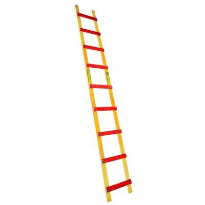 Echelle de toit bois 9 marches Ht3m écartement barreaux 33cm Centaure - Publicité Echelle de toit bois 9 marches Ht3m écartement barreaux 33cm Centaure - Publicité