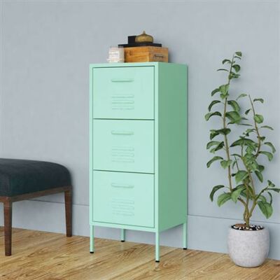 Non communiqué Armoire de rangement Vert menthe 42,5x35x101,5 cm Acier Vert menthe - Publicité Non communiqué Armoire de rangement Vert menthe 42,5x35x101,5 cm Acier Vert menthe - Publicité