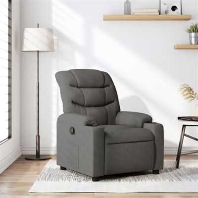 Non communiqué Fauteuil inclinable Gris foncé Tissu Gris - Publicité Non communiqué Fauteuil inclinable Gris foncé Tissu Gris - Publicité