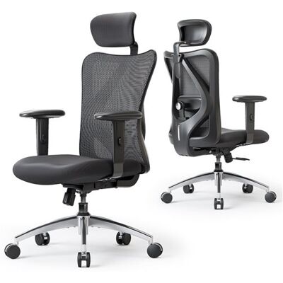 Non communiqué SIHOO M18 Fauteuil de Bureau,avec Support Lombaire et accoudoir réglable,Noir Noir - Publicité Non communiqué SIHOO M18 Fauteuil de Bureau,avec Support Lombaire et accoudoir réglable,Noir Noir - Publicité