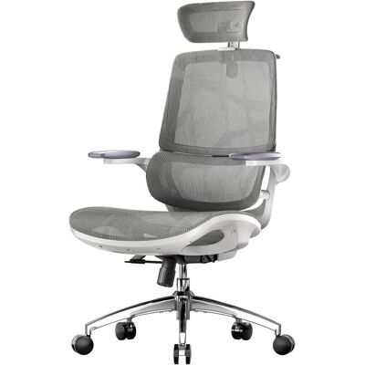 Non communiqué SIHOO M59AS Fauteuil de Bureau Ergonomique,avec accoudoirs 3D relevables,Soutien Lombaire Dynamique adaptatif,Gris Gris - Publicité Non communiqué SIHOO M59AS Fauteuil de Bureau Ergonomique,avec accoudoirs 3D relevables,Soutien Lombaire Dynamique adaptatif,Gris Gris - Publicité