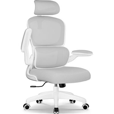 Non communiqué Fauteuil de Bureau Inclinable, Ergonomique, Accoudoirs Pliable, Appui-Tête Ajustable 10cm Noire - Publicité Non communiqué Fauteuil de Bureau Inclinable, Ergonomique, Accoudoirs Pliable, Appui-Tête Ajustable 10cm Noire - Publicité
