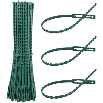 Non communiqué Lot de 600 attaches crantées pour plantes, supports, tuteurs, liens réglables pour arbustes, potagers - 23 cm - Vert - Linxor Vert - Publicité Non communiqué Lot de 600 attaches crantées pour plantes, supports, tuteurs, liens réglables pour arbustes, potagers - 23 cm - Vert - Linxor Vert - Publicité