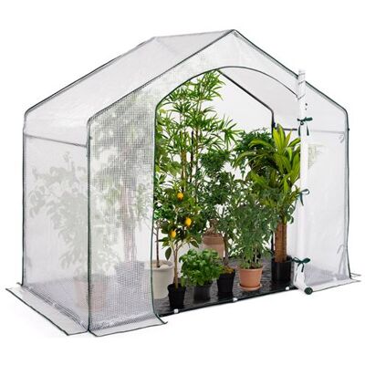 Serre de jardin 180x100x160 cm - Housse PE transparente - Publicité Serre de jardin 180x100x160 cm - Housse PE transparente - Publicité
